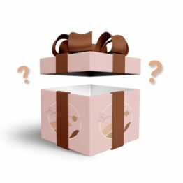 surprisebox-min