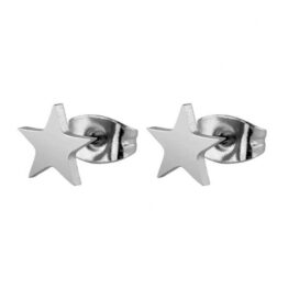 star earring zilber-min